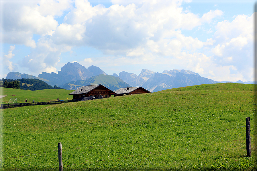 foto Alpe di Siusi